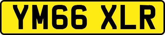 YM66XLR