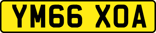 YM66XOA