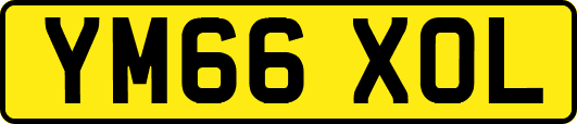 YM66XOL