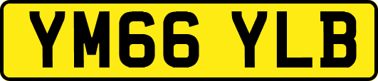 YM66YLB