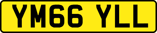 YM66YLL