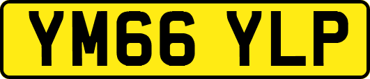 YM66YLP