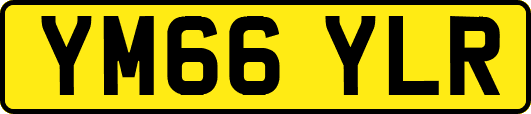 YM66YLR