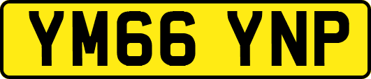 YM66YNP