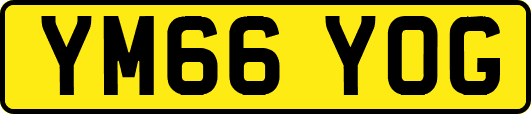 YM66YOG