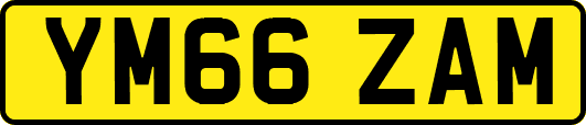YM66ZAM