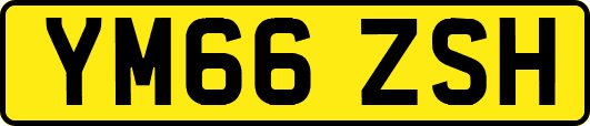 YM66ZSH