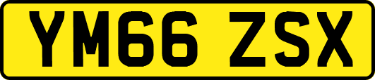 YM66ZSX