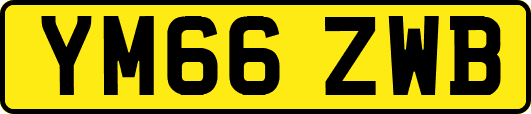 YM66ZWB