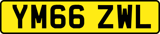YM66ZWL