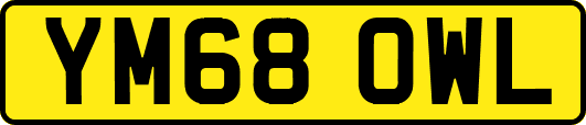 YM68OWL