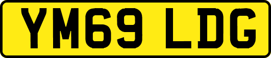 YM69LDG