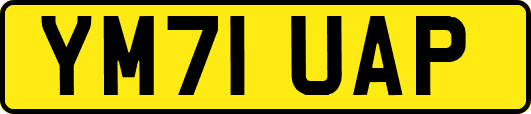 YM71UAP