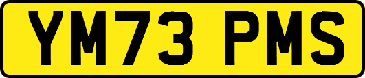 YM73PMS