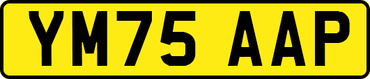 YM75AAP
