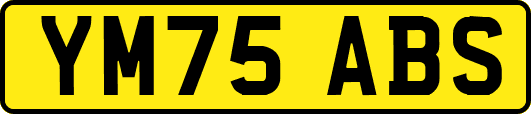 YM75ABS
