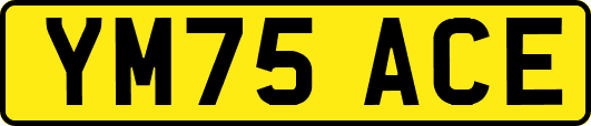 YM75ACE