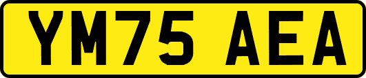 YM75AEA
