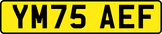 YM75AEF
