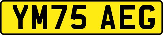 YM75AEG