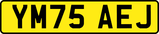YM75AEJ