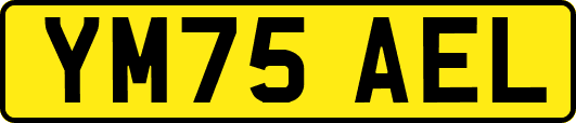YM75AEL