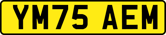 YM75AEM