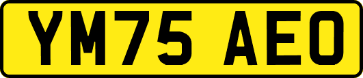 YM75AEO
