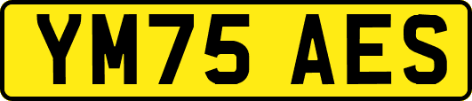 YM75AES