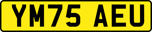 YM75AEU