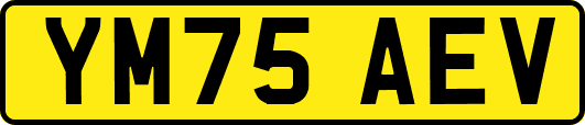 YM75AEV