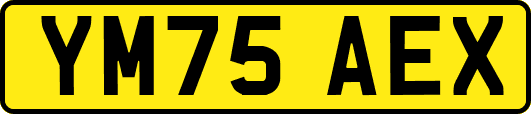 YM75AEX