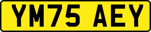 YM75AEY