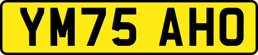 YM75AHO