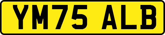 YM75ALB