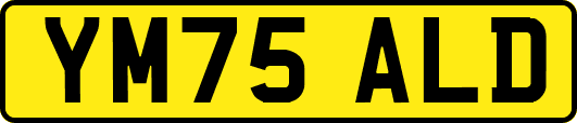 YM75ALD