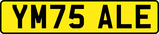 YM75ALE