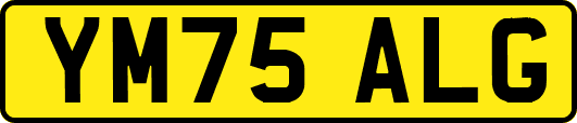 YM75ALG