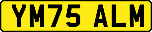 YM75ALM