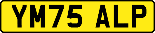 YM75ALP