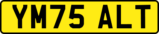 YM75ALT