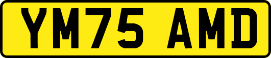 YM75AMD