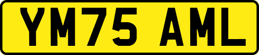 YM75AML
