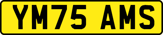 YM75AMS