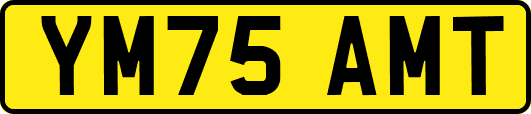YM75AMT