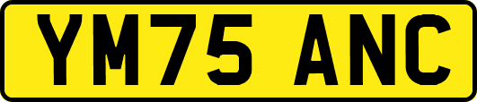 YM75ANC