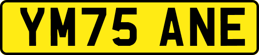 YM75ANE