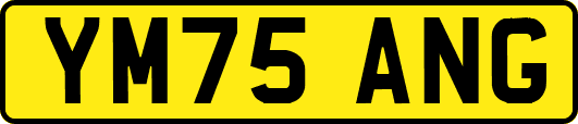 YM75ANG