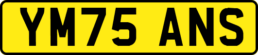 YM75ANS