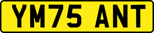 YM75ANT